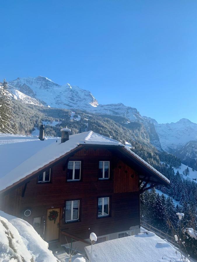 Chalet Aargovia 벤겐 외부 사진